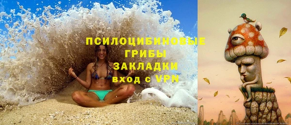 PSILOCYBIN Алексин
