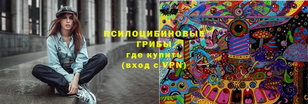PSILOCYBIN Алексин