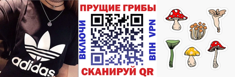 Галлюциногенные грибы прущие грибы  Белебей 